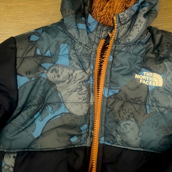 The North Face Reversible Winter Coat Sz 3T. Perfect for Winter - Picture 2 of 6